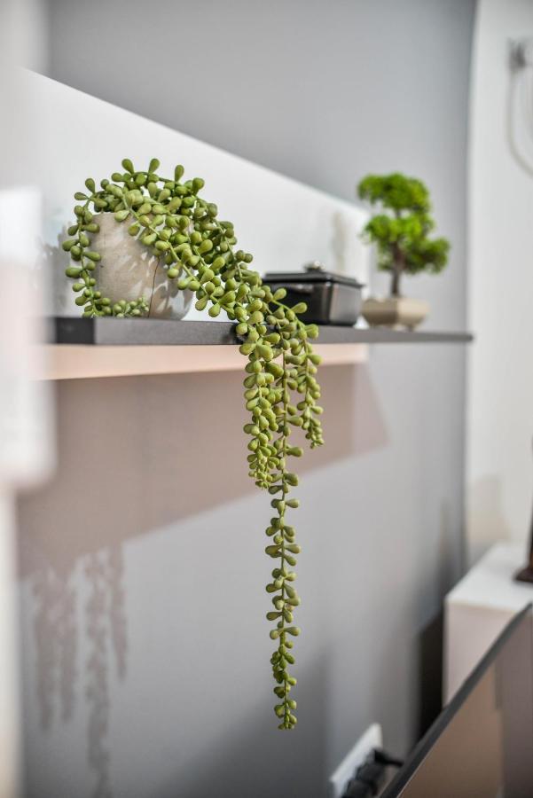 Apartmán Goltepirot Exteriér fotografie